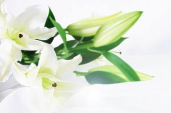 大竹まこと「東京では（北野）武さん、大阪では上岡龍太郎さん、とってもお世話になりました」