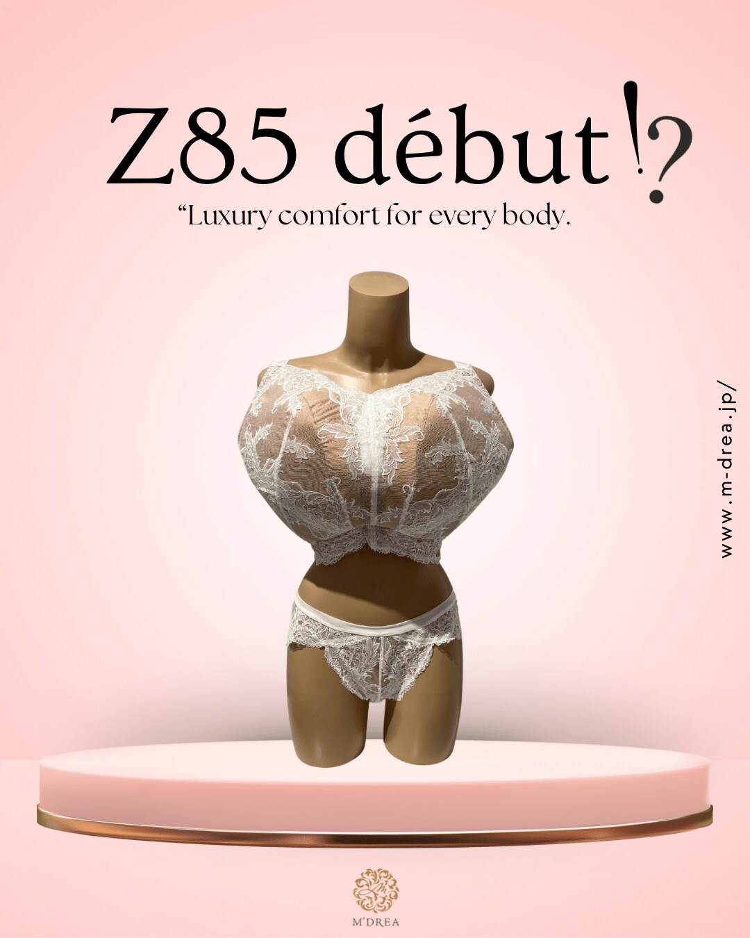 img_cc8dc361d4289bdc0340a6d562