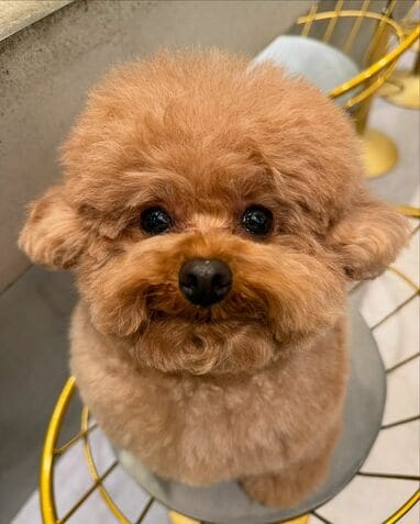 img_ccb7e61ec287d5b864ae60c10a