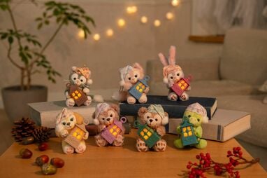 ディズニーシー園内限定・正規品★ダッフィー　ぬいぐるみ専用・限定品コスチューム ダッフィー - ディズニーシー園内限定☆正規品☆ダッフィー