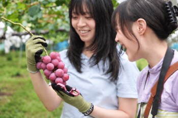 【長野県長野市】紙袋のデザインだけで終わらせない！学生が長野市産ぶどうの「販売」まで実践する産学官連携プロジェクト