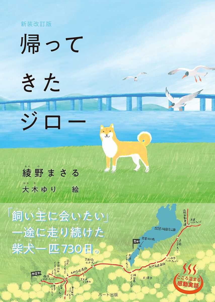 ☆希少！☆四季オリジナル☆柴犬☆ジロー　座り☆未使用 ☆希少！☆四季オリジナル☆柴犬☆ジロー 座り☆未使用 ☆希少！☆四季