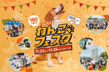 180店舗の出店が決定！「ジャパンわんこフェスタ2025 秋 in お台場」過去最大規模で開催！