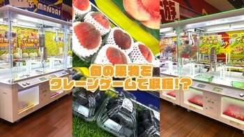 食欲の秋、桃やシャインマスカットをゲームで“収穫”！？