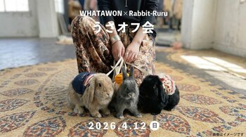 うさぎに囲まれる1日。撮る・買う・遊ぶが全部できる“体験型イベント”が人気の理由とは？【大阪・岸和田】