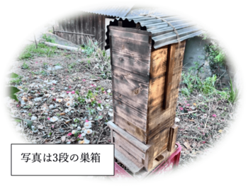 5月2日（土）倉敷市玉島でニホンミツバチを守る巣箱づくりワークショップを開催