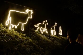 東京電機大学、埼玉県こども動物自然公園「ナイトズー」に協力