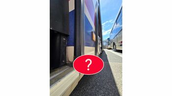 衝撃の光景に13万人が大注目！京王バスに秋らしい“あるモノ”が現れ「え？これ本物?」「そんなことあるの！？」