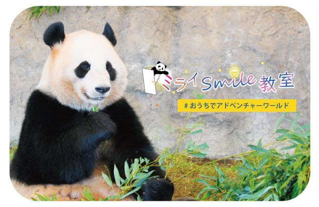 誰でも無料で参加OK！「アドベンチャーワールド」動物飼育スタッフがオンライン授業！