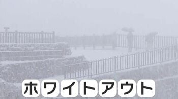 都心で最大８cmの積雪　40人救急搬送も【5日午前7時時点】