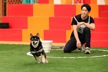 「場違いかもしれないですが…」と朝倉海＆愛犬・大吉も参戦！「犬王」の称号をかけ、天才犬が対決