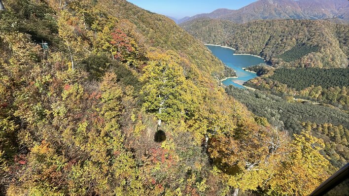 【苗場スキー場・かぐらスキー場】苗場ドラゴンドラ・田代ロープウェー山全体の紅葉が見頃ピークに！2つの日本一を紅葉と楽しむ！