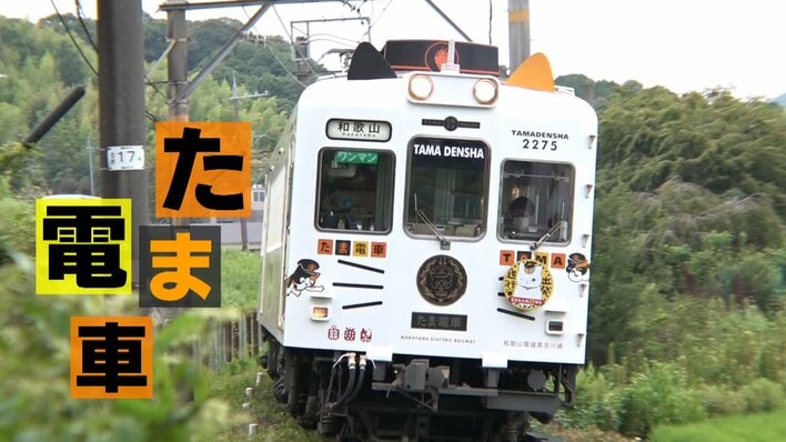 たま駅長 全国的アイドル】18年前和歌山・貴志川線の廃線危機を救ったネコ「たま