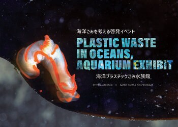 【神戸須磨シーワールド】　水中写真家・鍵井靖章氏が写す海の姿海洋ごみを学ぶ啓発イベント「海洋プラスチックごみ水族館」を開催