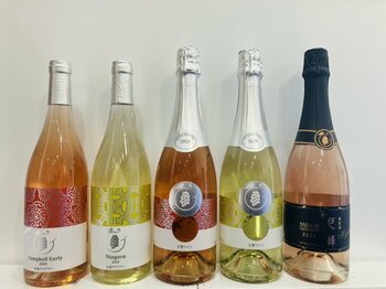 【五島ワイナリー】2025年12月11日（木）新酒解禁！