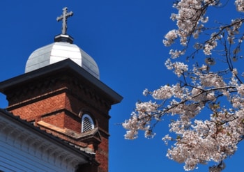春の旅は五島列島・上五島へ！「オーダーメイドタクシー島旅」で叶える、大人の旅。