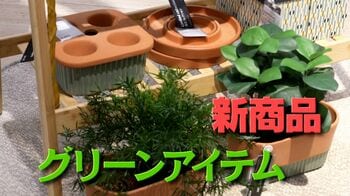 春にオススメ！IKEAのグリーンアイテム売れ筋TOP5 植物たちが芽吹く季節に“緑”ある暮らしはいかが？ 