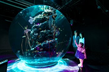 好評につき『幼児無料キャンペーン』を継続します！