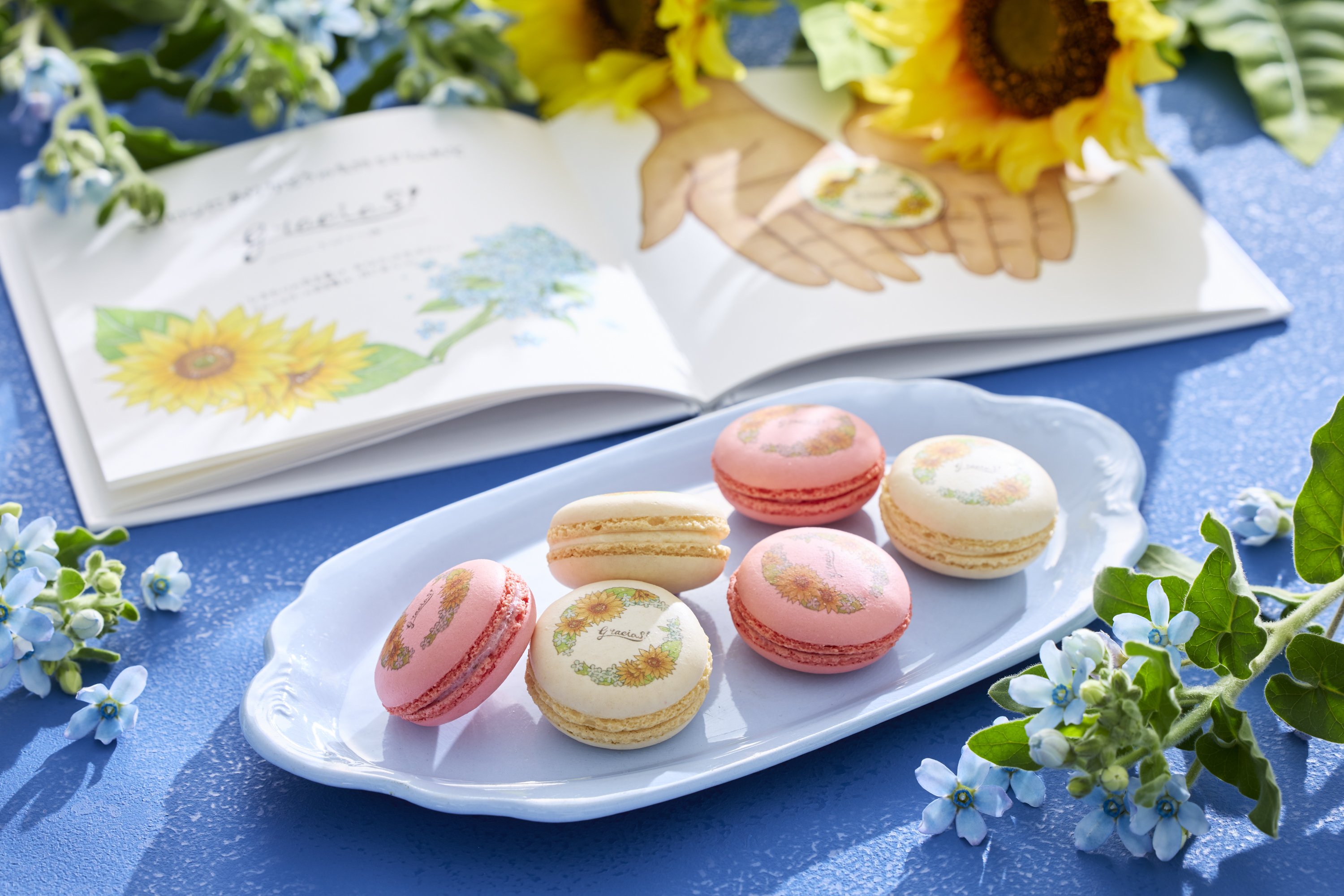 ブールミッシュ×鴨志田和泉】ありがとうの気持ちを込めた「ピースフル