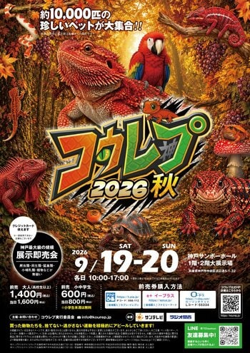 コウレプ2026秋 ～神戸最大級の爬虫類イベント～【9月19日（土）・20日（日）神戸サンボーホールにて開催】