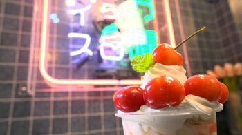 【話題沸騰】飲みのシメは“夜アイス”？ 夜に行列ができる専門店“意外な”人気の秘密をご紹介！