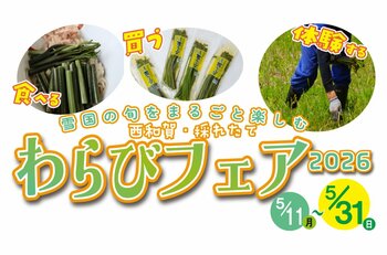 「西和賀・採れたてわらびフェア 2026」開催（5/11～5/31）
