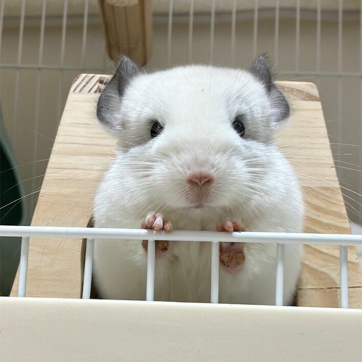 img_d5665bcef140d91e76cba93e29