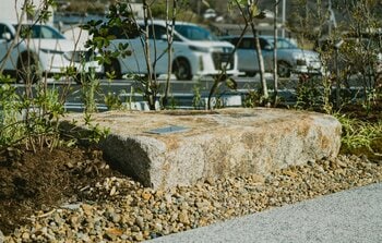 大阪・関西万博「石のパーゴラ」で使用された万成石ベンチを白十字 山陽店に設置