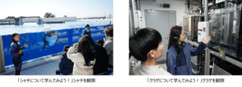 【神戸須磨シーワールド】シャチやクラゲについて学んでみよう！飼育員と楽しく学ぶ教育プログラム「生きものスマシースクール」 4月～6月に開催