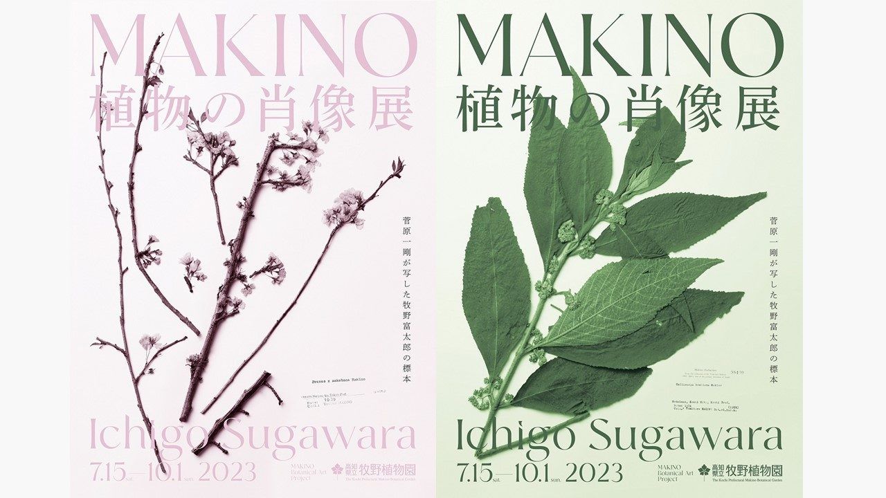 異なる視点から見た芸術家の肖像 異なる視点から見た芸術家