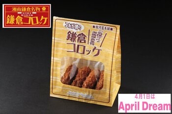 鎌倉と歩んだ30年。江ノ電の駅舎から溢れる感謝を、街の未来と子供たちの笑顔へ繋ぐ恩返しの夢。