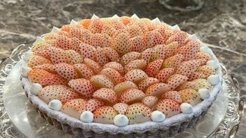 キルフェボンのイチゴタルトに田園調布の売り切れ必至ケーキ　注目“ごほうびスイーツ”【イマドキ】
