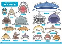 日本一のサメ水族館が監修！かわいすぎる『サメくらべ図鑑』が７月３日発売