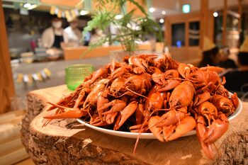 北欧の伝統文化と食を楽しむ特別な夜