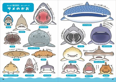 日本一のサメ水族館が監修！かわいすぎる『サメくらべ図鑑』が７月３日発売