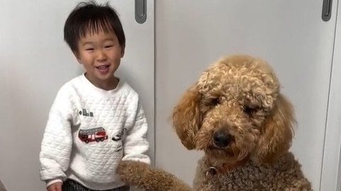 「ショートコントみたい」3歳男の子＆わんこ“一枚上手”だったのは…？微笑ましいやり取りに「かわいくて平和で最高」【激かわキッズ＆アニマル奇跡の瞬間】
