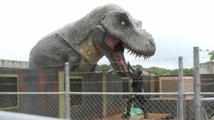 ジャングリア沖縄 体験取材！迫り来る“最凶の肉食恐竜”＆バギーで大自然を疾走 フジ高崎春アナも大興奮！