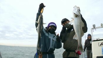 工藤静香 80㎝超のシーバスを狙う！ガチ釣りに、藤木直人＆ロンブー亮も仰天