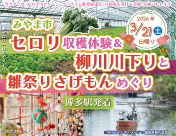 《日帰りツアー》みやま市セロリ収穫体験＆柳川川下りと雛祭りさげもんめぐり