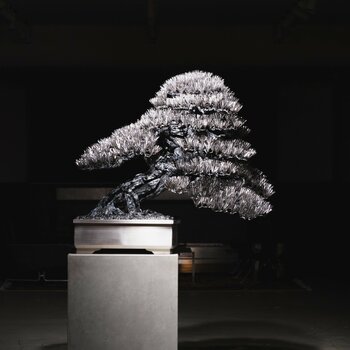 TRADMAN'S BONSAI × SUWADA　盆栽鋏になれなかった鋼が、盆栽作品へ。