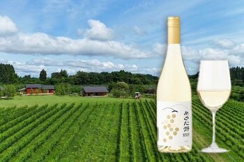 耕作放棄地から生まれた奇跡のワイン、秋田のバーで新たな物語を紡ぐ