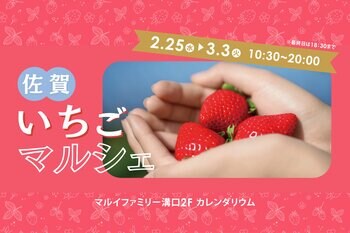 佐賀県と連携し、旬のブランドいちご8銘柄が集結する「佐賀いちごマルシェ」を開催