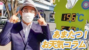 今年は、スギ花粉が過去10年間で最多！？【あまたつ！お天気コラム】