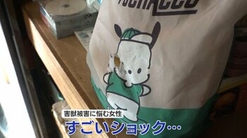 【密着】「雨漏り」「害獣」年末年始に相談増加！要注意の「住宅トラブル」　カビ発生でアレルギーの危険性　お気に入りのバッグに穴が…