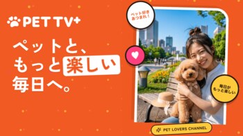 日本発の放送型ペットメディア「PET TV+」、Amazon Fire TVで世界へ！第一弾はアメリカでサービス提供開始