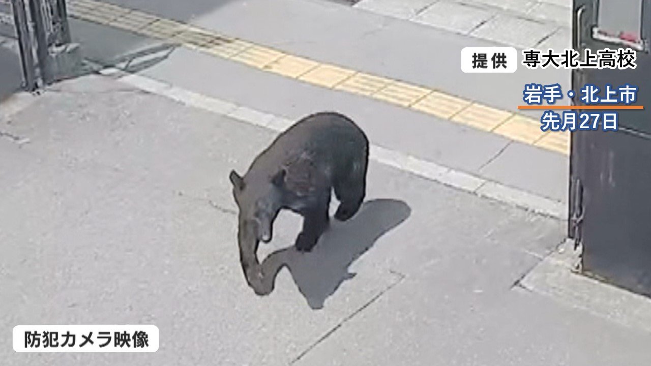 相次ぐ】コメ狙いか？クマが何度も家に侵入…被害者語る恐怖「窓の外の