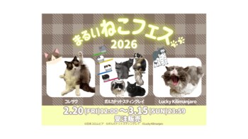 ねこ好きアーティストとコラボ＆保護猫を応援！「まるいねこフェス2026」をマルイウェブチャネルで開催！