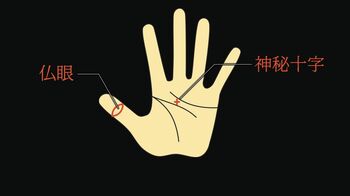 【手相】島田秀平 左手にこの線があれば「霊感の強い人」“仏眼”と“神秘十字”とは？