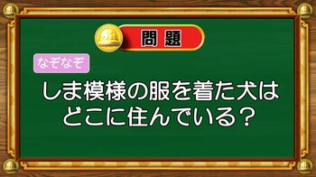 【おめざめ脳トレ】なぞなぞ！しま模様の服を着た犬はどこに住んでいるでしょう？【『クイズ！脳ベルSHOW』より】
