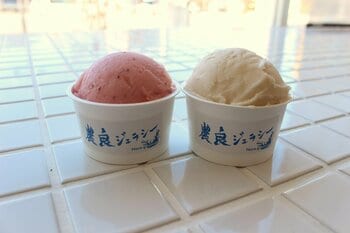 酪農の課題を「おいしい」で解決ーホエイを廃棄せず「フルーツジェラート」で活用【山梨県】